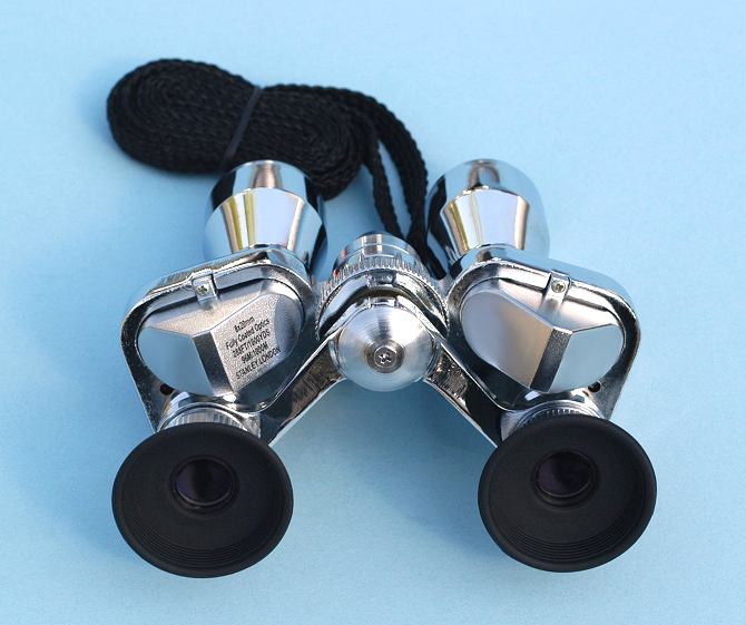 Small Chrome Binoculars